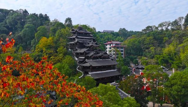 连晴！快出门秋游吧