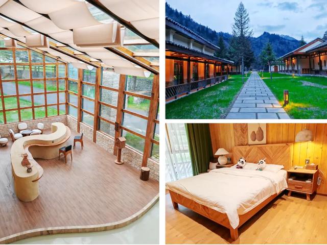 青睐绵阳 ‖ 红透了!周末去平武,沿着“百里彩林走廊”看一场雪山彩林“大片”~