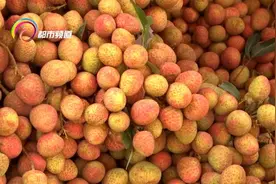 “荔枝减产”、“冻眠荔枝”登上热搜！昆明市场价格……图片