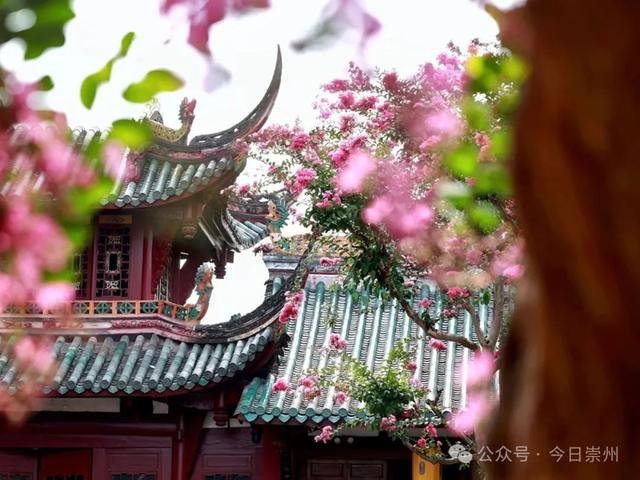 盛夏崇州 与你相约！