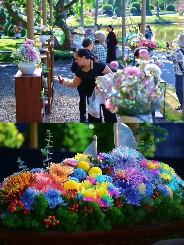 大美青秀山 | 叶子花园、丘石花园、音乐大草坪、金杉湖即将迎来冬日最佳观赏期！