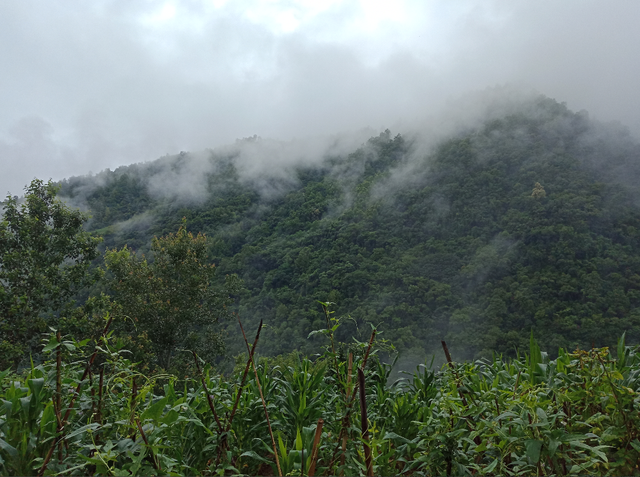 浦洞湖绿绘新卷 碧波荡漾润人心