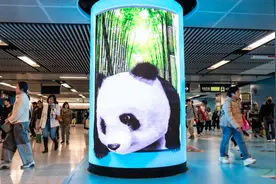 内地网友在香港偶遇一广告，“有点熟悉！”图片