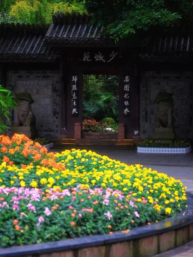 免费观赏！美到犯规