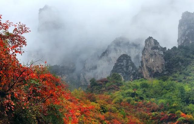 最新消息!安阳林州多家景区因天气原因临时闭园！