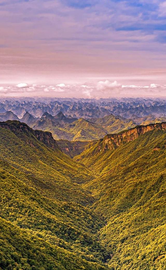 免门票！带你了解如何玩转避暑胜地大明山