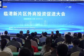 上海临港新片区外资服务中心正式设立图片