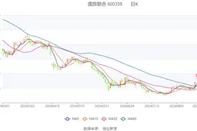 国旅联合：2024年上半年亏损1721.63万元图片