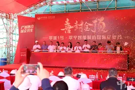 飞跃伶仃洋丨中山翠城1号·翠亨智能制造国际企业谷项目全面封顶图片