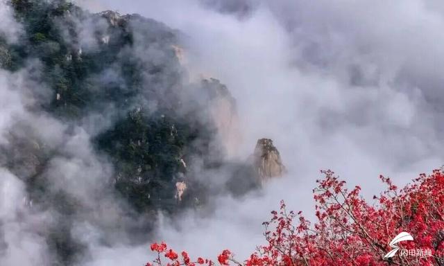 组图丨岱宗秋深 云涛漫染“仙”气十足