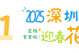 2025深圳迎春花市来了，设11个大花市和119个购花点图片
