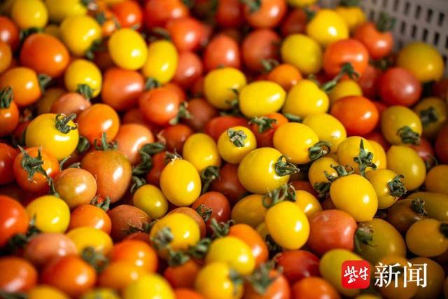 拒绝“特种兵”赶场！在常熟梅李，把假期过得轻盈且丰盈