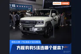 方程豹豹5该选哪个版本？拥有云辇-P标准版才是完整体图片