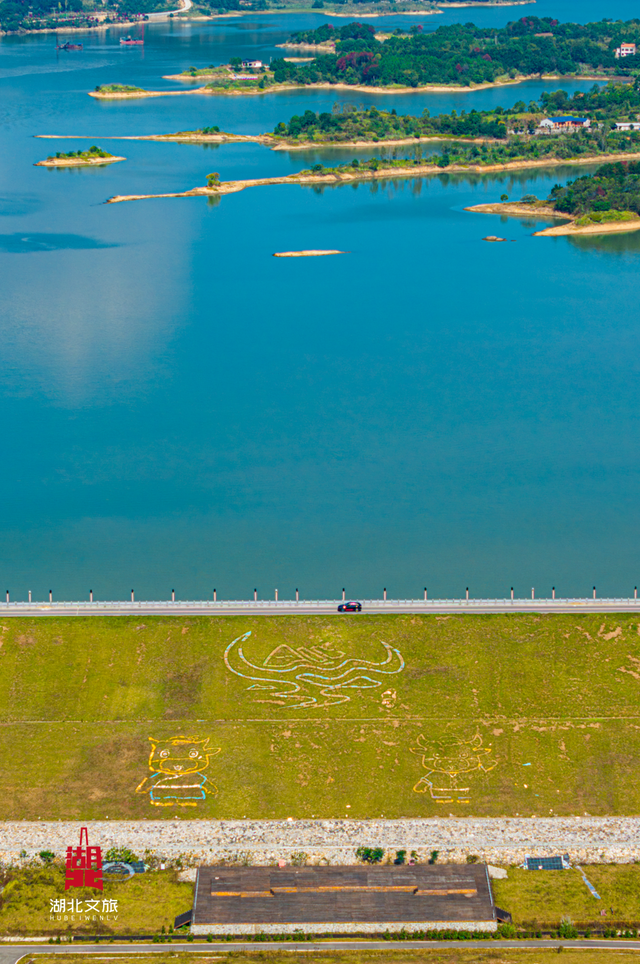 想追风，去团风！