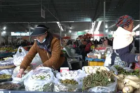 美好生活在云南｜保山龙陵：吃“春”正当时，“山茅野菜”惹人爱图片