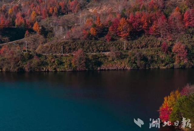 蕲春塔林的秋天，让人不愿离开