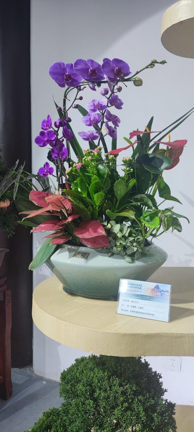 5大展区亮点纷呈！济南起步区鹊山生态文化区藏着“齐鲁园林盛宴”