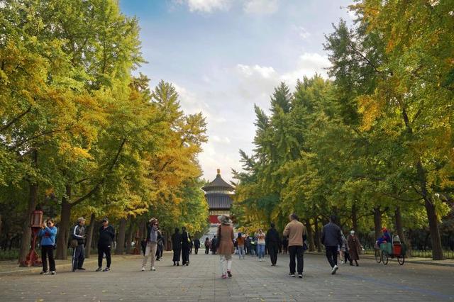 说出来不要嫉妒，杭州家长休秋假前，领导主动询问今年打算去哪儿