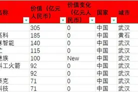 全球独角兽，黄石这家企业上榜！图片