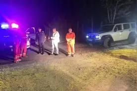 宁夏白芨滩严打非法捕捉野生蝎子：七八月份是捕蝎子高峰期图片