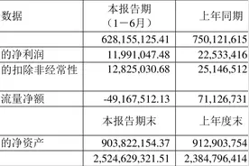 天成自控：2023年上半年净利润1199.10万元 同比下降46.79%图片