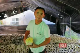 年产值超百万，湖北利川残疾小伙用小菌菇闯出致富路图片