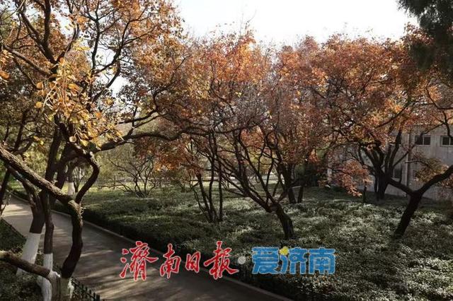 秋色不等人 速来解锁公园景区的N种玩法！