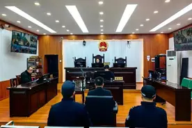 贵州一村支书网购射钉器等零件改制成枪支防野兽，犯非法制造枪支罪被判刑图片