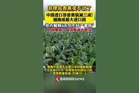 中国进口菲律宾香蕉锐减三成图片