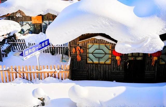 【亲子营】超多冰雪玩法！带孩子来一场哈尔滨亲子奇遇记