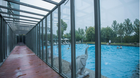 年假清零，总要留几天给洛阳