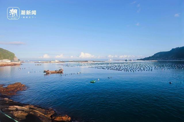 打卡“浙南红都”，这三条游线让你畅游山海平阳