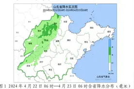 10级雷雨大风！山东9市出现强对流天气 东营等地局部仍有大雨+雷电图片
