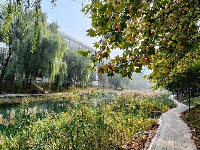 秋意正浓，邂逅浪漫！快来打卡“七站两场”地区的限定秋色