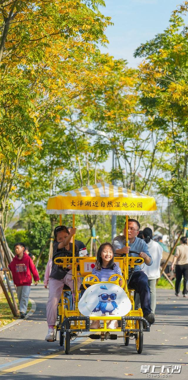 来大泽湖！乐享周末好时光｜组图