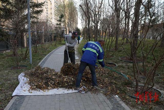 北京中轴线旁的初冬