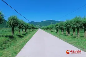 华亭：路畅业兴幸福来 风光如画乡村美图片
