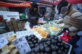 藏不住了！原来辽宁真有“冻物乐园”图片