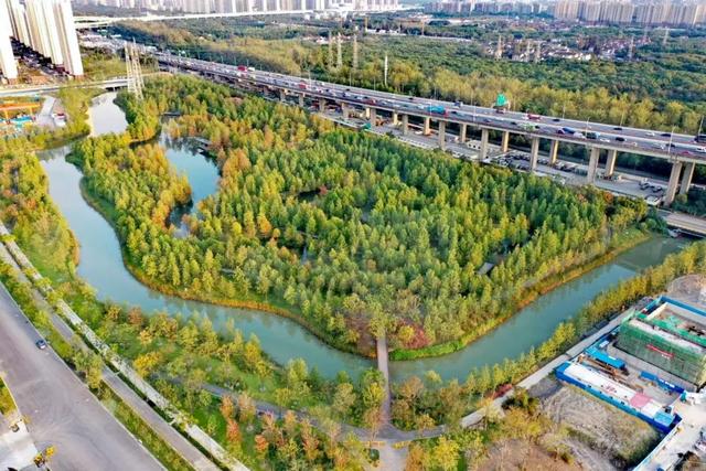 上海有个超美的新公园，未开先火！有人偷偷爬进去、溜进去、翻进去……太危险！