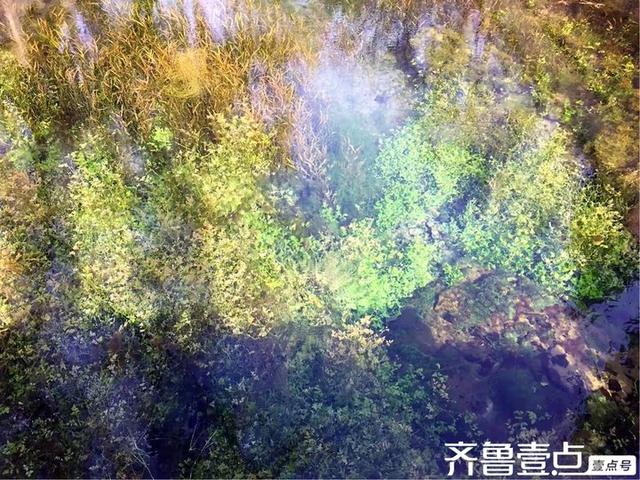 水韵悠悠访泉林