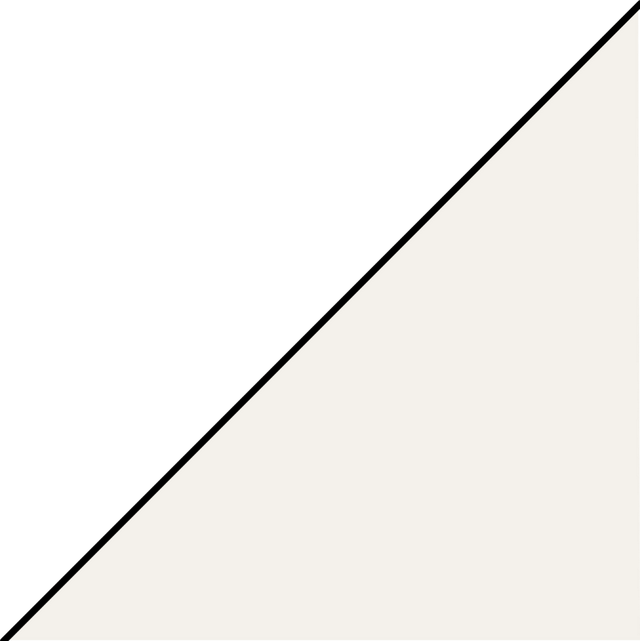 海上打卡“鱼鸣夕照”，黄岛“追鸥逐浪”航线邀您共赴金色浪漫