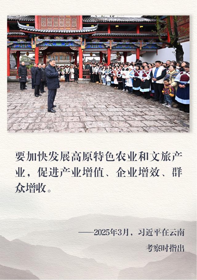 镜观·回响｜云南旅居热 文旅业态兴