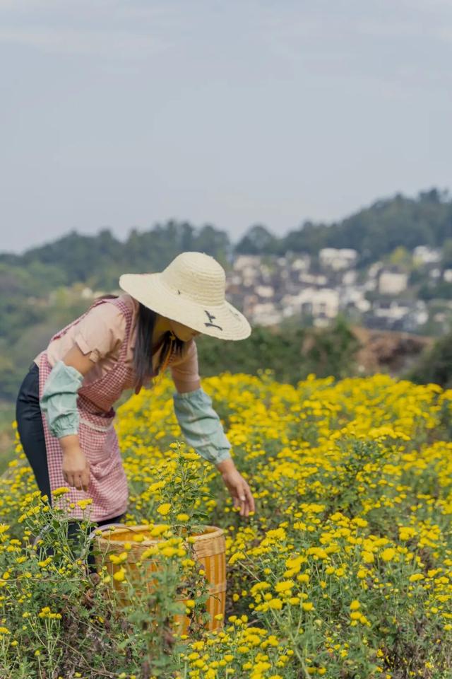 秋日“上”策！“顶级”仪式感做这些就够