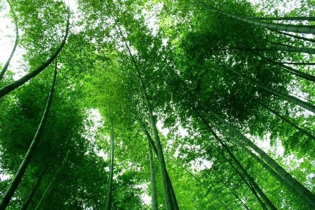 庆双节·护平安 | “蓝朋友”陪你解锁四川宝藏美景→