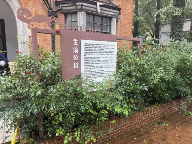 愚园路的神秘别墅里竟长了巴旦木？别再认错了！