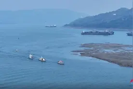 丰都：水鸟鱼儿齐 “出圈”，龙河湿地生机盎然！图片