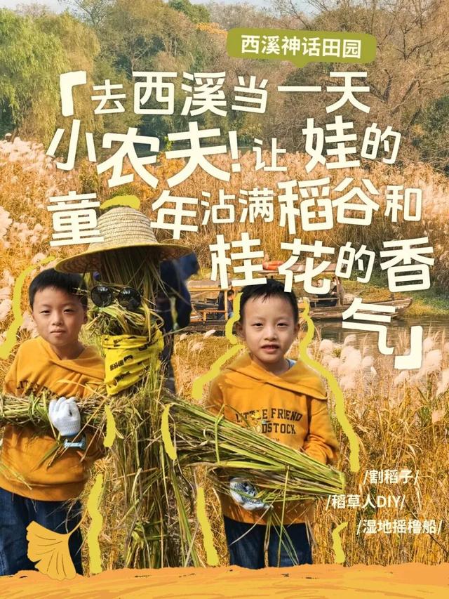 秋冬盛宴来袭，6条宝藏线路玩转杭城！