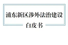 勇担“立法试验田”使命！浦东发布全国首部涉外法治建设白皮书图片