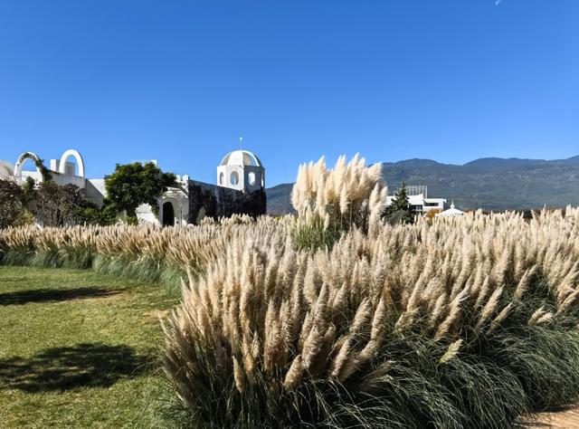 丽江冬日藏惊喜！快来解锁→