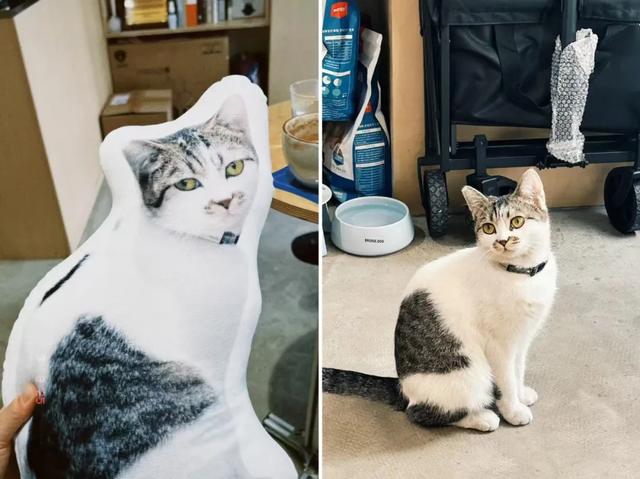 一座低调好玩的城市，花100块就能逛吃一整天！